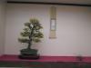 1373-PICT0168   